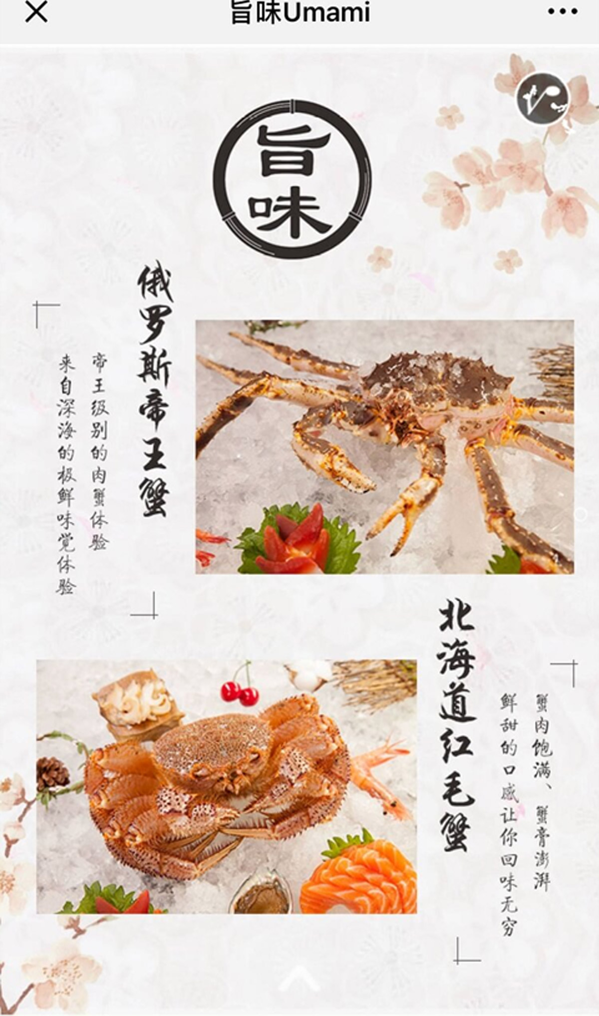 旨味Umami公眾號
